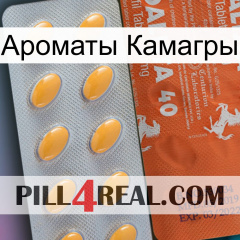 Ароматы Камагры 43